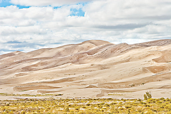 Catch a Star Fine Art  STAR194 - STAR194 - Dunes in the Distance I - 18x12 sand dunes, desert landscape, arid terrain, sparse vegetation, cloudy sky, remote location, natural environment, beige tones, rolling hills, wild grass from Penny Lane