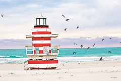 STAR227 - South Beach Sentry - 18x12