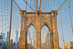 STAR241 - Intertwined - 18x12