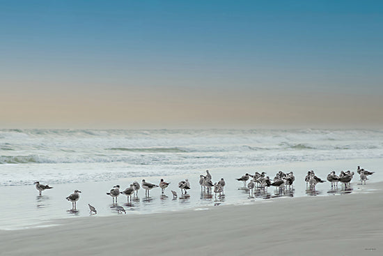 Catch a Star Fine Art STAR292 - STAR292 - Beach Party - 18x12 flock of seagulls, beach gathering, ocean shoreline, dusk beach, reflective water, calm sea, birds in nature from Penny Lane