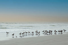 STAR292 - Beach Party - 18x12