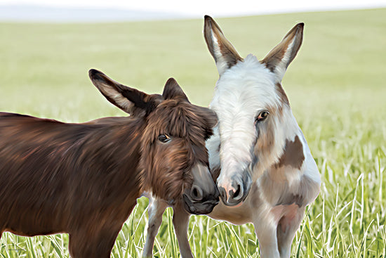 Catch A Star Fine Art STAR313 - STAR313 - Barnyard Bond - 18x12 two donkeys close together, farm donkeys portrait, friendly farm animals, pasture grass field from Penny Lane
