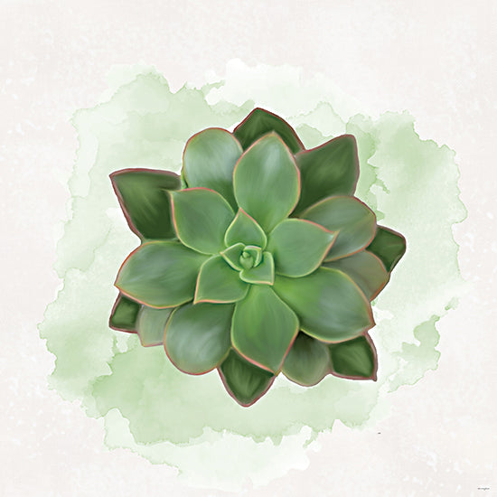 Catch A Star Fine Art STAR335 - STAR335 - Succulent Collection IV - 12x12 green succulent, echeveria rosette, botanical art, watercolor wash, mint green plant, pointed leaves, houseplant print, fresh greenery, soft painterly shading, simple neutral background, desert plant, modern botanical decor, minimal plant portrait, calming wall art, garden-inspired art from Penny Lane