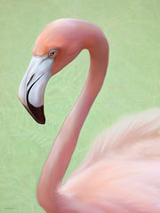 STAR346 - Pink Plumage - 12x16