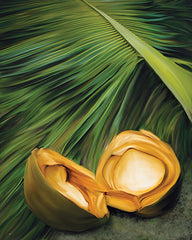 STAR364 - Palm & Coconut - 12x16