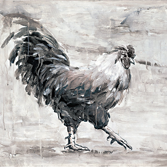 White Ladder WL145 - WL145 - Rooster Strut  - 12x12 rooster, chicken, farm animal, barnyard, rustic, sepia tones, painterly strokes, natural texture, neutral color palette, countryside from Penny Lane