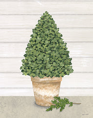 ALP2296 - Potted Boxwood Tree - 12x16