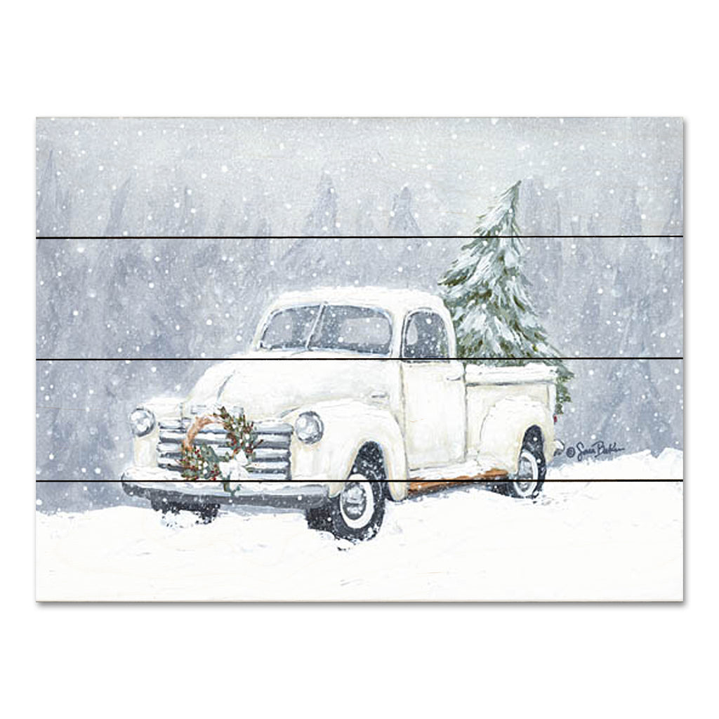 Sara Baker BAKE257PAL - BAKE257PAL - A Vintage Tree Tradition I - 16x12  from Penny Lane