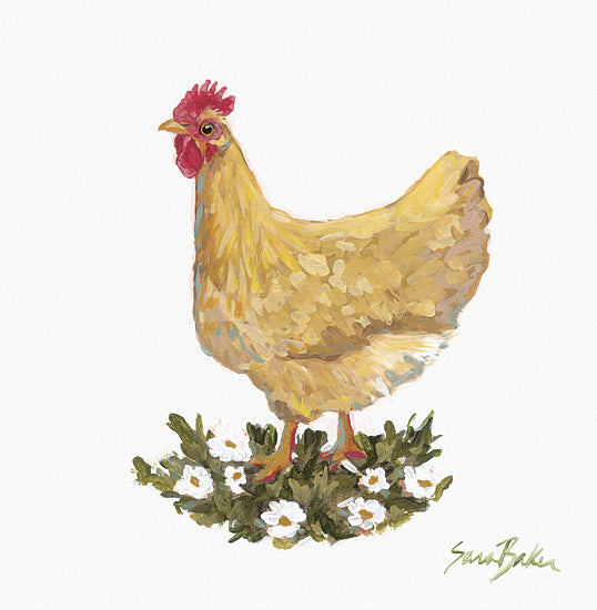 Sara Baker BAKE336 - BAKE336 - Hen House Ms. Honey - 12x12 Hen, Flowers, White Flowers, Farmhouse/Country from Penny Lane