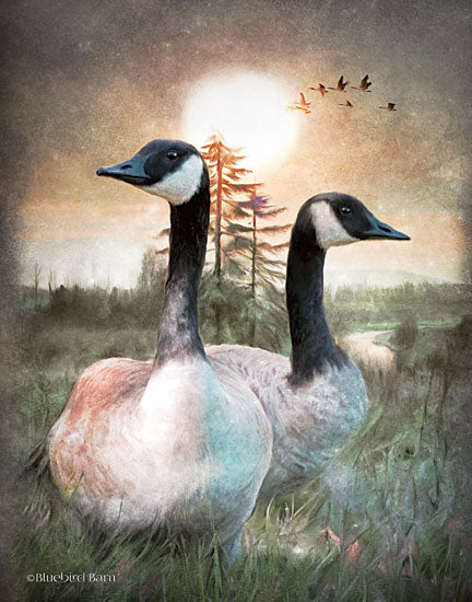 Bluebird Barn BLUE169 - Time to Head South - 12x16 Canadian Geese, Meadow, Landscape from Penny Lane