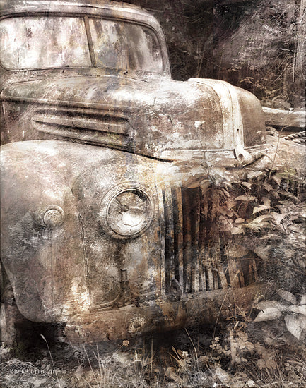 Bluebird Barn BLUE397 - BLUE397 - Vintage Truck Front - 12x16 Truck, Vintage, Photography from Penny Lane