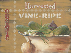 BR393 - Vine Ripe - 16x12