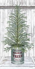 CIN1776 - Galvanized Pot Spruce - 9x18