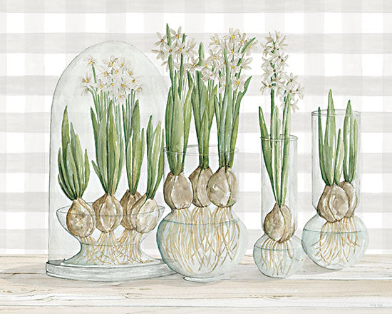 Cindy Jacobs CIN3027 - CIN3027 - Paperwhite Bulbs - 16x12 Paperwhite Bulbs, Flowers, Still Life, Cloche, Neutral Palette from Penny Lane