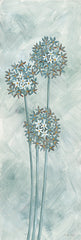 CIN3202 - Allium I - 6x18