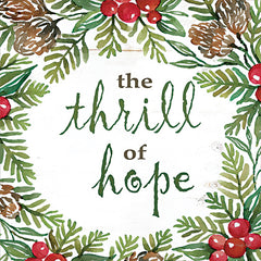 CIN3221 - The Thrill of Hope - 12x12