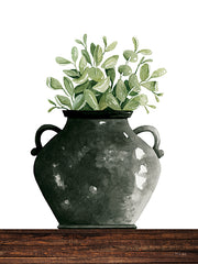 CIN3365 - Black Pot - 12x16
