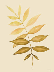 CIN3511 - Golden Fern - 12x16