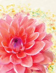 DOG156 - Dahlia Splatter - 12x16