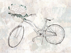 DOG167 - Bicycle Dream - 16x12