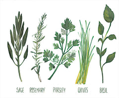 DOG173 - Watercolor Herbs - 16x12