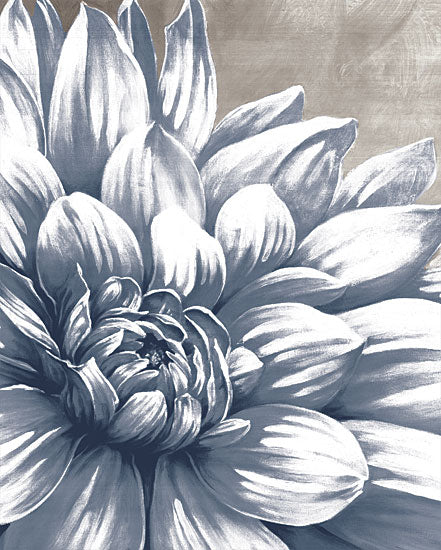 Dogwood Portfolio DOG181 - DOG181 - Charming Floral I - 12x12 Flowers, White Flowers, Neutral Palette from Penny Lane