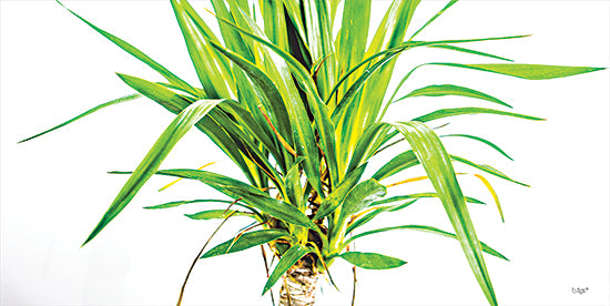 Donnie Quillen DQ208 - DQ208 - Leafy Days - 18x9 Leaves, Photography, Tropical from Penny Lane