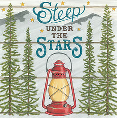 DS1847 - Sleep Under the Stars - 12x12