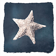 FEN1011 - Sea Salt Shell - 12x12