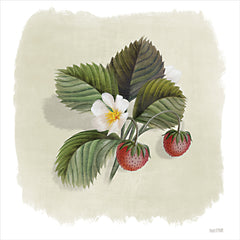 FEN272 - Strawberry Botanical     - 12x12