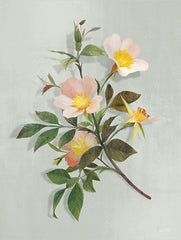 FEN277 - Primrose Branch    - 12x16