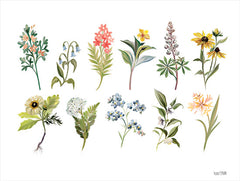 FEN622 - Spring Botanicals - 16x12