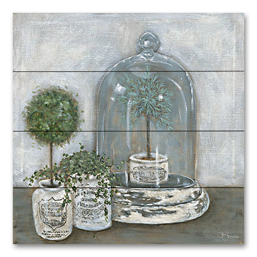 Hollihocks Art HH205PAL - HH205PAL - Little Topiaries     - 12x12 Topiaries, Greenery, Rustic, Cloche, Still Life, French Country from Penny Lane