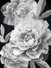 HK178 - Black and White Peonies - 12x16
