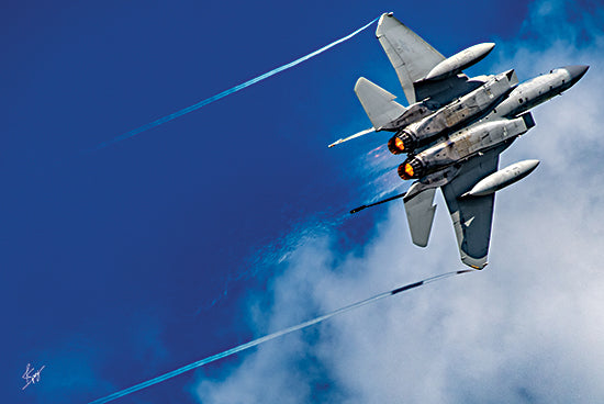 Justin Spivey JDS226 - JDS226 - Wingman - 18x12 Photography, Fighter Jet, Military, Landscape, Sky, Clouds, Masculine from Penny Lane