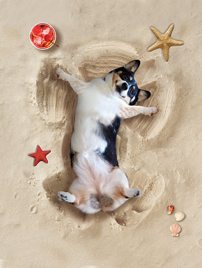 JG Studios JGS454 - JGS454 - Sand Angel Dog - 12x16 Dog, Beach, Sand Angles, Whimsical, Fantasy, Shells, Coastal, Humorous from Penny Lane