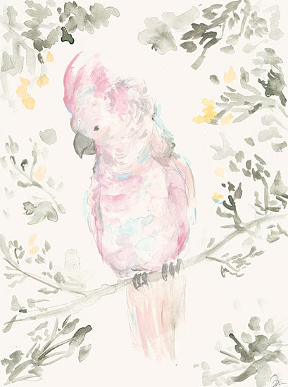 Jessica Mingo JM444 - JM444 - At a French Market I - 12x16 Bird, Cockatiel, Abstract from Penny Lane