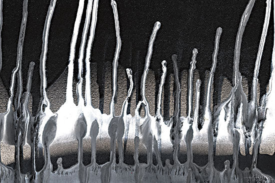 Kamdon Kreations KAM256 - KAM256 - Framework  II - 18x12 Abstract, Dripping Paint, Black & White, Contemporary from Penny Lane