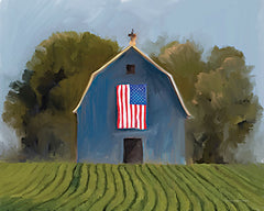 KAM279 - Land of the Free Barn    - 16x12