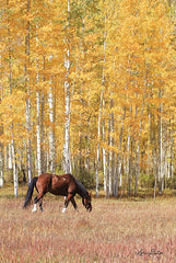 LD1563 - Among the Aspens - 12x18