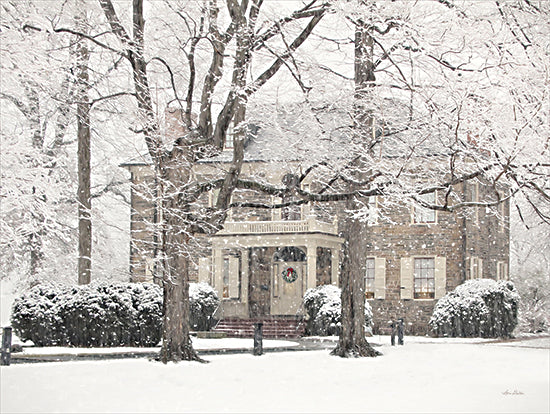Lori Deiter LD2524 - LD2524 - Winter Home at Christmas - 16x12 Photography, House, Home, Christmas, Holidays, Winter, Snow, Trees from Penny Lane