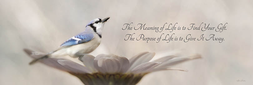 Lori Deiter LD2735A - LD2735A - Meaning of Life - 36x12 Meaning of Life, Flower, Daisy, Birds, Gifts, Signs, Photography from Penny Lane