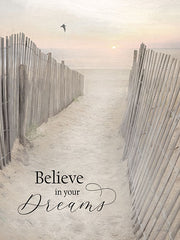 LD2741 - Believe in Your Dreams - 12x16
