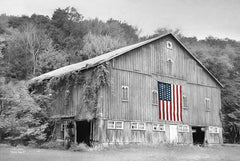 LD775GP - Patriotic Farm II