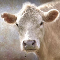 LD879AGP - Up Close Cow