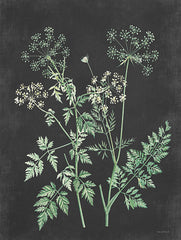 LET473 - Carrot - 12x16