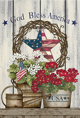 LS1854 - God Bless America Still Life - 12x18