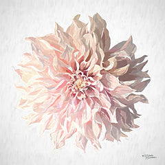MN343 - Sweet Dahlia - 12x12