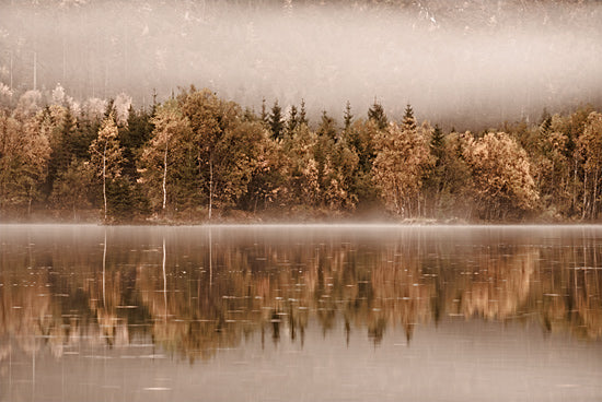 Martin Podt MPP1064 - MPP1064 - Layers    - 18x12 Photography, Trees, Lake, Landscape, Reflection, Fog, Nature from Penny Lane