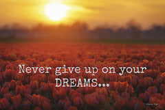 MPP189 - Never Give Up on Your Dreams - 18x12
